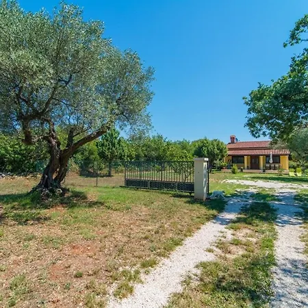 House Val Vidal * Ρόβινι