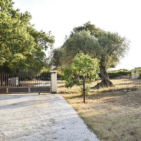 House Val Vidal Ρόβινι