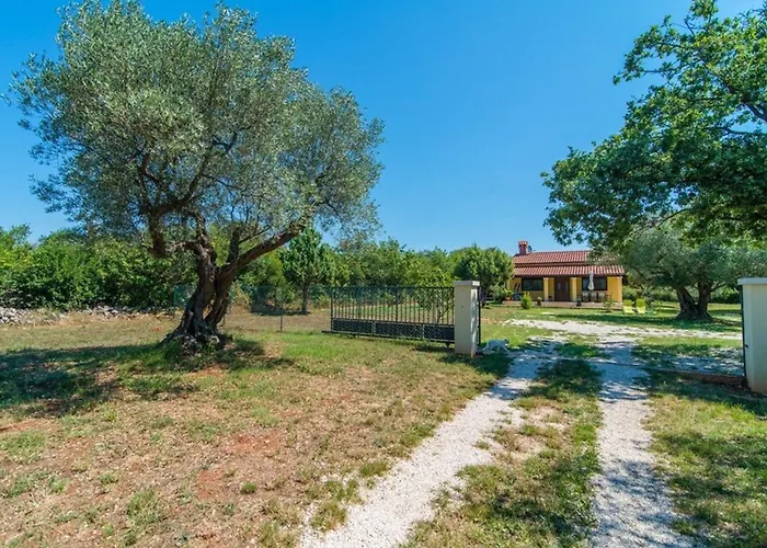 House Val Vidal * Ρόβινι